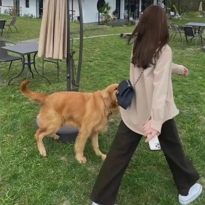 我是太阳